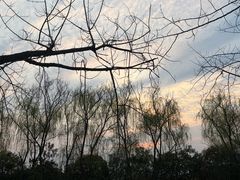 -洋湖国家湿地公园