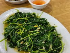 蒜蓉炒麻叶-长平肥姐白粥·海鲜打冷