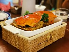 -茉莉.Red Crab