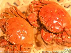 -陈长荣生态大闸蟹(盐城店)