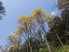 -广州市白云山风景名胜区