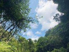 -海口火山口国家地质公园