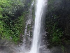 -莫里热带雨林景区