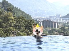 -宜春明月山维景国际温泉度假酒店