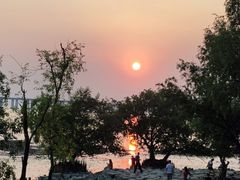 -宝安西湾红树林湿地公园