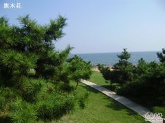 -青岛第三海水浴场