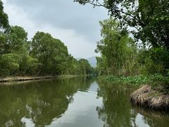 -西溪国家湿地公园