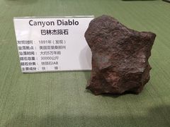 -志强陨石馆(双季花艺店)