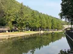 -白水寺森林公园