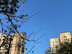 -梧桐山风景名胜区