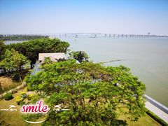 -大湾区中央湿地公园