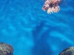 -福州罗源湾海洋世界旅游区