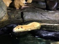 -泉城欧乐堡海洋极地世界