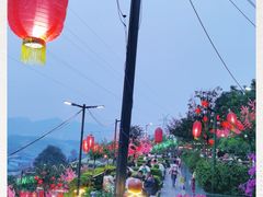 -枇杷园食为鲜火锅(南山店)