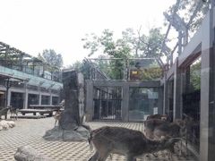 -西安秦岭野生动物园