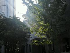 -徐家汇源景区-衡山坊