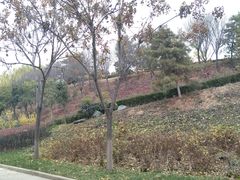 -西安青龙寺遗址景区