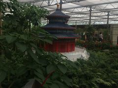 -世界地热博览园