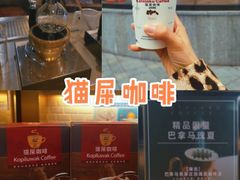 -猫屎咖啡(日月光中心广场店)