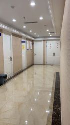 -碧莲盛·不剃发植发