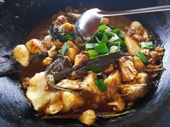 -千岛湖港湾鱼庄