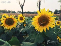 -艾溪湖湿地公园