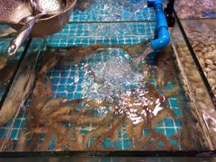 -领鲜活海鲜榴莲自助火锅(东门店)