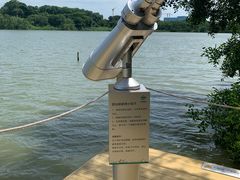 -华侨城湿地公园