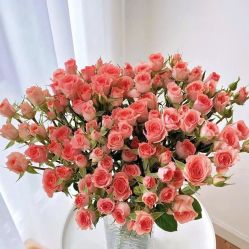 -莫兰迪婚纱摄影