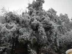 -南岳衡山风景名胜区