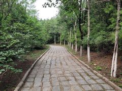 -云岗森林公园