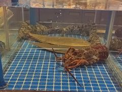 -百富源·海鲜辽菜(浑河堡店)