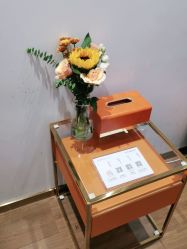 -YESIDO椰岛造型