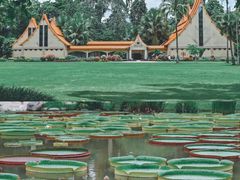 -中国科学院西双版纳热带植物园