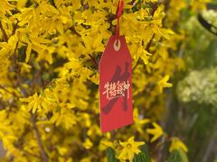 -大渔铁板烧(中山路八佰伴店)