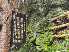 -天女山森林公园