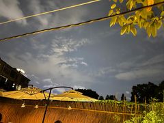 -毛辣果·酸(OHA复兴西路店)