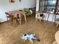 大堂-猫小主咖啡·猫咖cat cafe(福田店)