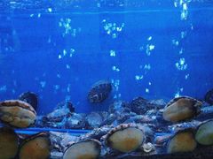 -鲜味食族水产·海鲜餐厅