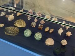 -上海海洋大学鱼文化博物馆(军工路校区)