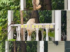 -晓港公园