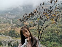 -鹿院坪生态旅游景区