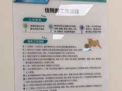-瑞派康怡24h宠物医院·犬猫医疗中心·微创绝育(瑞景分院)