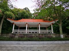 -中山公园(石岐街道)