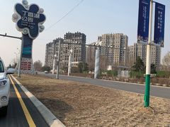 -丁香湖公园