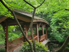 -杭州半山国家森林公园