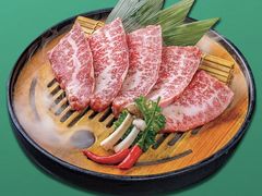 -首尔朴宝·炭火烤肉(五角场店)