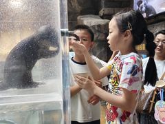-哈尔滨波塞冬海底世界