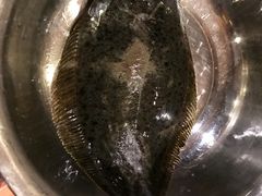 活比目鱼-松子料理(亮马桥店)