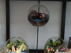 -拾光陶吧